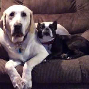 Meet your Posher, Mark